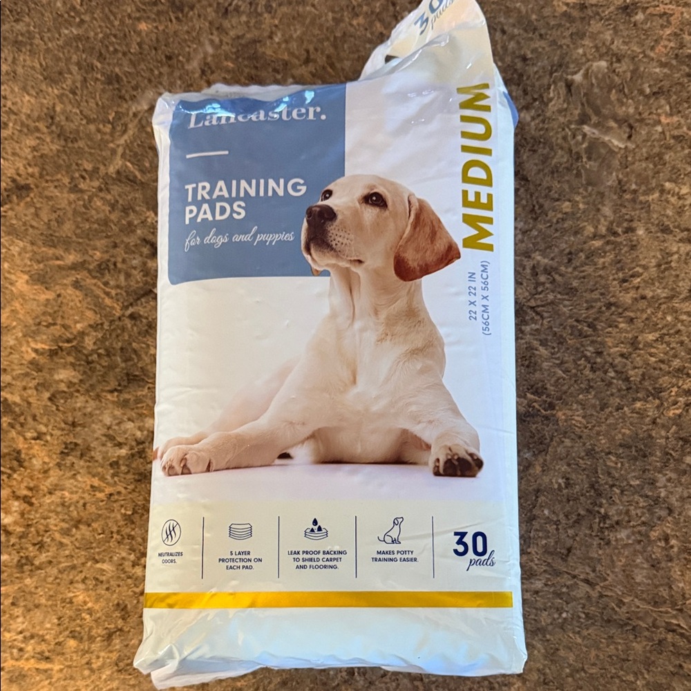 Medium Dog Training Pads - White